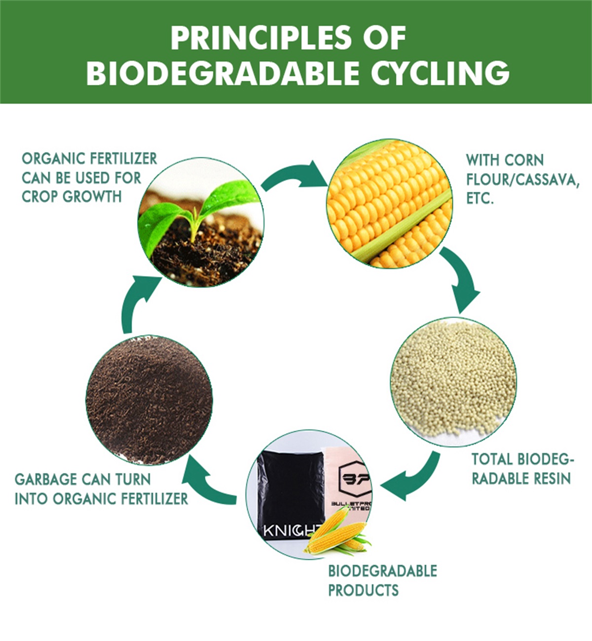 Die beginsels van bioafbreekbare materiaal