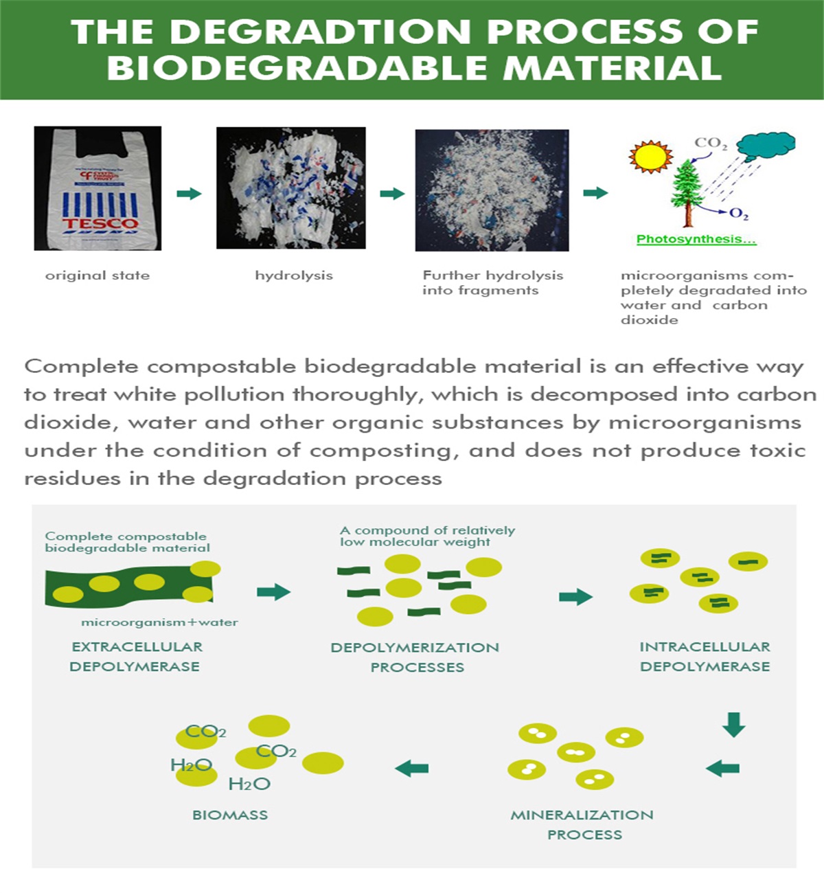 Le processus de matériau biodégradable