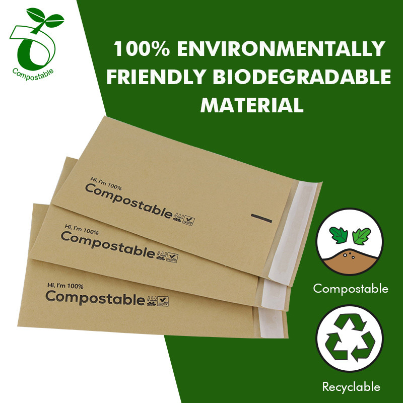 tsika dzekutumira tsamba bhegi biodegradable poly bhegi rehembe kurongedza mustock (4)