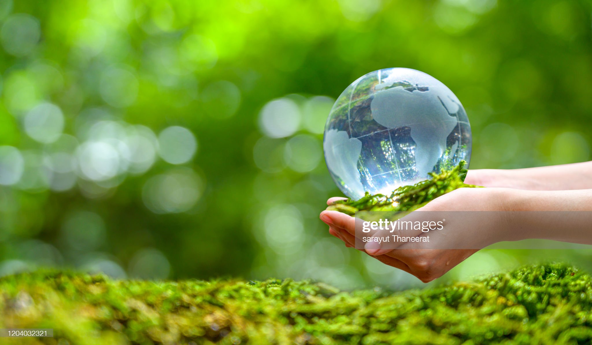Concetto Salvare il mondo salvando l'ambiente Il mondo è nell'erba dello sfondo verde bokeh